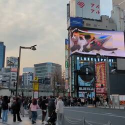 Die berühmte Katze am 3D Screen