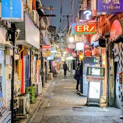 Die Straße mit den Mini Bars, Golden Gai