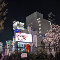 Der berühmte 3D Screen mit der Katze