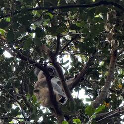 Da war er 😍😍😍🫶🏼