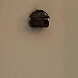 Here he had his cricket😁