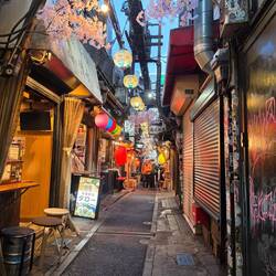 Omoide Yokocho Memory Lane