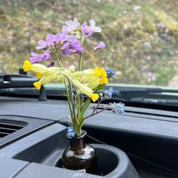 Spring flowers accompany our departure