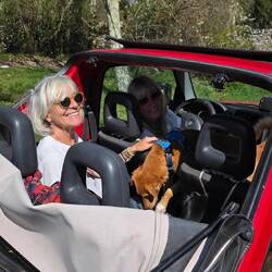 Cabrio Feeling in the sun🌻