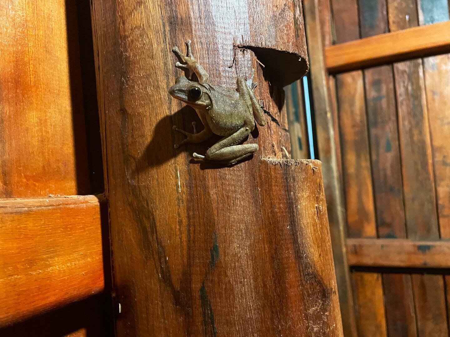 Bathroom buddy. One of 3