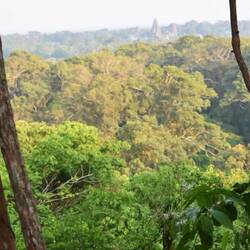 Angkor Wat in the background