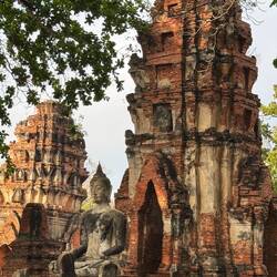 The only Buddha with a restored head, is the statue whose original head is now cradled by the Bodhi.