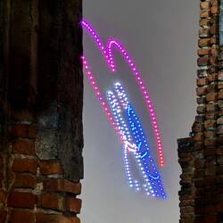 We watched programmed drones with LED lights make pictures in the sky. (It was Valentine's Day).
