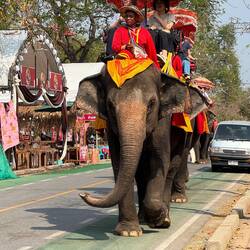 Despite criticism from animal rights groups, elephant riding continues due to strong tourist demand.