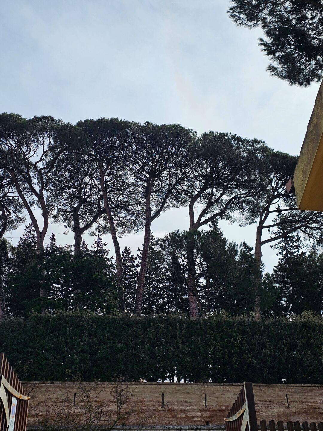 The view from my accommodation