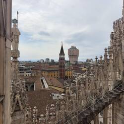 Duomo rooftop.