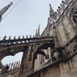 Duomo rooftop.