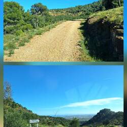Gut befahrbare Forstwege über 6 km