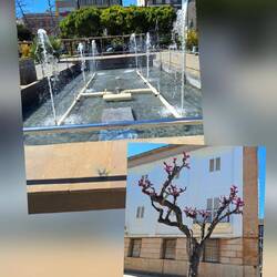 Zentraler Brunnen auf der Plaza de la Glorieta in Sagunt. Unten: blühender Judasbaum