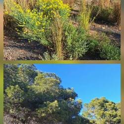 Tolle Vegetation hier oben