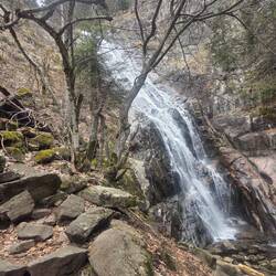 Third waterfall Orpheus