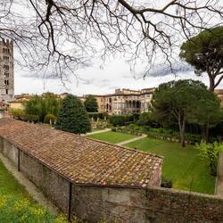 Lucca - Stadt Impressionen