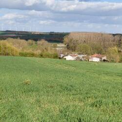 Looking down towards our house from the top of the hill