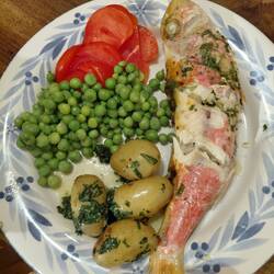 Fresh whole fish from the marche