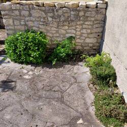 The hardy herb garden has survived for three years now