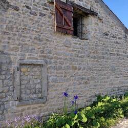 A window on our walk with bluebells and irises below