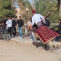 Hochzeitsfeier mit Vorführung in Touzeur.