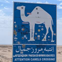 Richtung Tozeur (Chott el Gharsa)