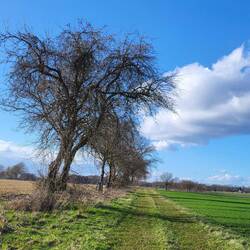 Auf dem Weg nach Endeholz.
