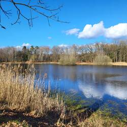 Es geht an diesem schönen Fischteich vorbei.