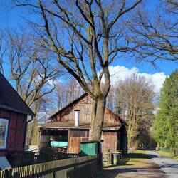 Wir starten in Bargfeld.