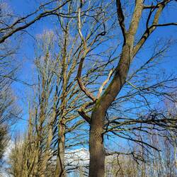 Der Himmel überrascht uns mit einem tiefen Blau.