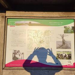 Der Trailhead in der Abendsonne.