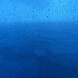 RAIN!!!