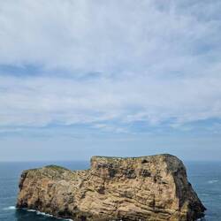 u de hani mi plötzlech gfrogt: wieso steit dä Föus eigch einzu im Wasser?