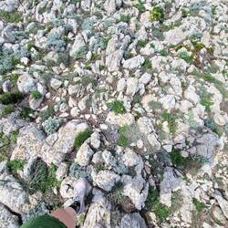 Balancetraining bim über d Steine loufe