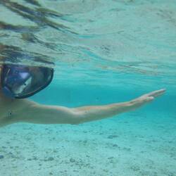 I can almost touch the SHARK!