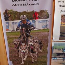 Hunderennen geht auch im Sommer