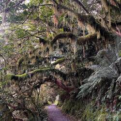 Sehr schöner Wanderweg
