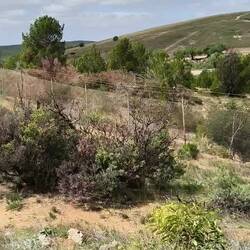 alte Kupfermine von Burra