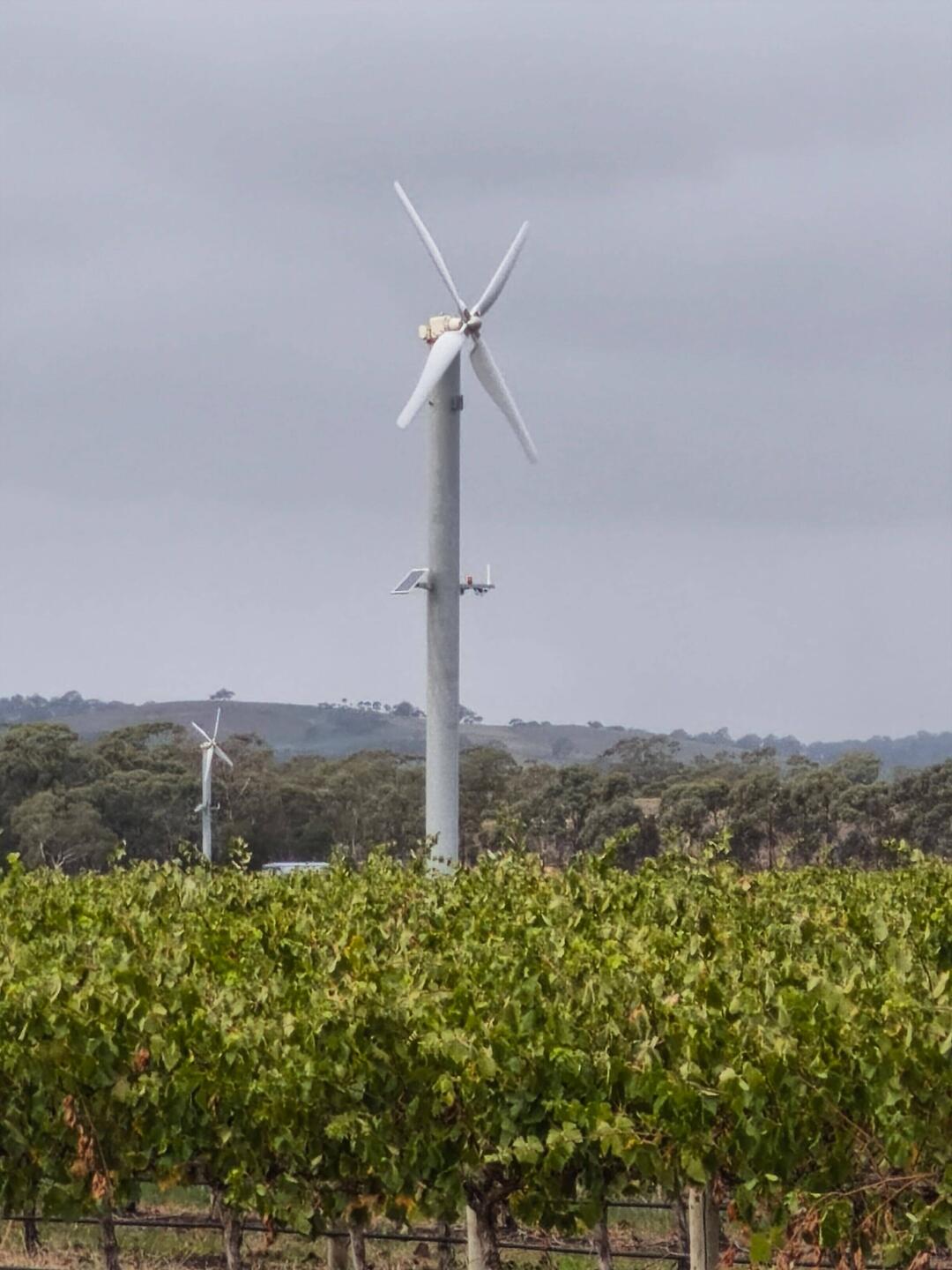 Klimaaanlage im Weinberg? Nein - diese werden bei eisigem Wetter als Frostschutz eingesetzt