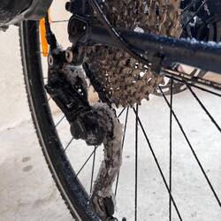 Ah oui, dérailleur et freins gelés