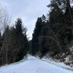 La via fluvia immaculée