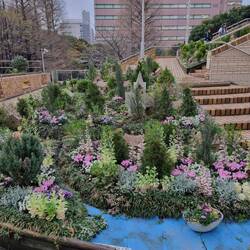 Tuin/garden