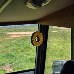 Die Sonnenblume. Das erst, was ich morgens sehe.