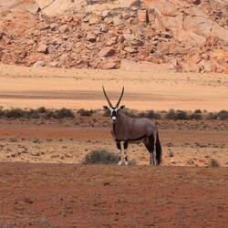 Unser Empfangskomitee