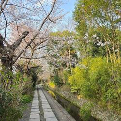 Tetsugaku No Michi Canal