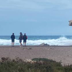 Strand vom Camping aus