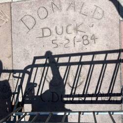 Ich hab's schon immer gewusst, Donald Duck 🐤 gibt es wirklich