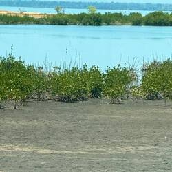 Und nochmals der Casamance