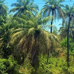 Wir sind in den Tropen angekommen 🌴